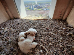 c1181c1b-58d0-4253-a282-89a90f603f73