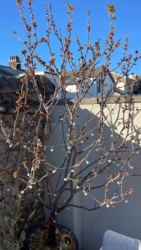 f8378461-78da-4c4d-bda7-1056d12a6d0c