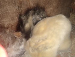 4eb2bd43-e2f4-448c-9ee2-5db2381c4dfc