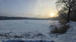 792c2ef8-d4ac-483c-bed9-2abf6eb697de