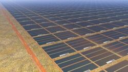 W Australii powstanie gigantyczna farma solarna. Będzie 10 razy większa od obecnie największej
