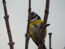 e241ff16-67c1-4655-8897-8487fc0ac945