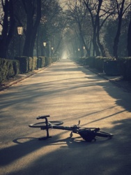 bc952bec-6d29-4468-bd56-b843aaf7600b