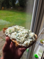 5c8abb1d-2097-4fc8-a136-1873ea5cd941