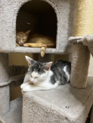 7caed473-32ba-4f42-824f-bef7b1cb3356