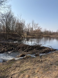 6f26cf41-e576-497a-aeb7-ad8cfee1f563