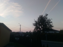 e15bb516-dc58-474d-a5a1-f328035731ac