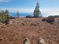 611cacd9-679d-401c-9f7e-1faf7d247b60