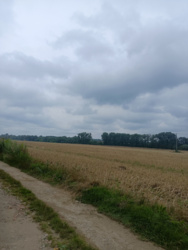 0962f0be-4412-435c-984f-32f2b4ea2648