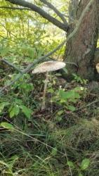 9b7b4c8a-417b-4883-9bea-5dcf87c4f7f3