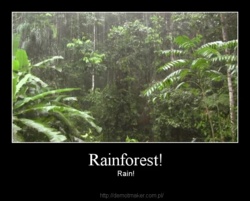 0f99bcf4-5ed7-4bba-aa2f-3b35ff1d3124