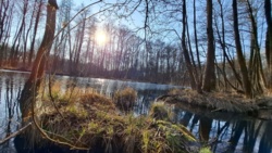 0dc6db80-9c72-4256-9813-ae6ee6b0f032