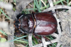 3a1a235e-504d-4876-8a8e-03d83dc99278