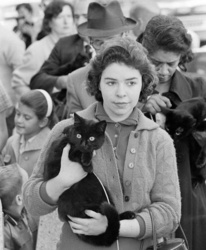 3164180c-afaa-48c9-a29e-b4cb604ef88c