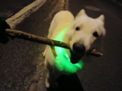 b559fe95-6800-4ace-9f78-24e9141e9b28