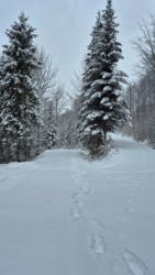 fce58773-1e3e-4f13-afa1-d55fce96a567