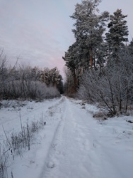 1b855b2f-1c9e-49ea-8b9d-80f2bcccf457