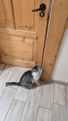 5dc63016-930b-44c7-8c4c-37bc30773f92