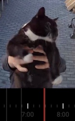 0d12630f-5a69-4f1a-b836-bc30f7b57241