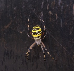 6809f14a-9254-4c04-b9ea-3f86f6f5b1c1