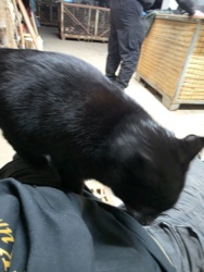 6ab8a414-d7d3-4b59-b27c-ce1995211e8b