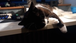 213d80f8-d4f8-4ea1-ad1c-120bd0ff89dc