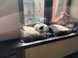 2b3f78c8-7dc1-4557-a333-5a32fc9d20e8