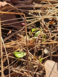 c0293dc7-7d23-4758-83a7-4828c8208291