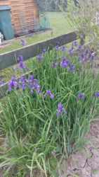 1be20fab-dc56-4023-a39f-261780b87a89