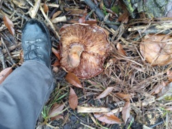 7a8fd82f-4ad2-4aa4-9576-abbd6c7ad3b9