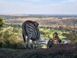 cbbffa69-1636-490e-a25d-e3a5224273a6