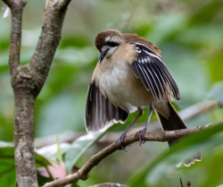 d60cf276-5990-47c3-aaa9-b1f460ad8ce3