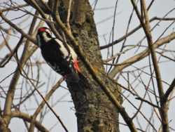 fc934291-c4ae-4845-b425-470c3a598f5a