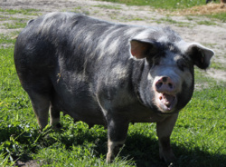 b092727a-234e-4b84-bf47-743d8a365b7b