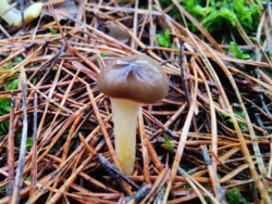 7a869fb3-7b1c-4ecb-a40c-2e69fd6434f1