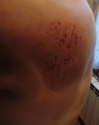 0d42d3bb-0a27-4ea5-a881-d990c1447e9e