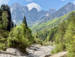 20d6e2bc-5c45-42c4-93d8-46cc026d70f7