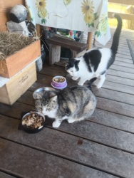 b792cd48-5818-4a04-8d51-b2059c308174