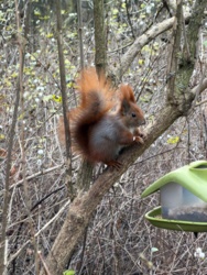 82a3e3f6-bfe1-4887-ac01-e69fb1f172cb