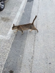 2f2deb4d-bec4-4ccc-9126-3dc7a09b4f69