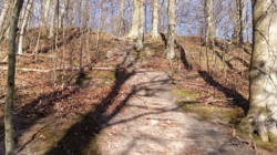 41e3821e-f3e7-47f1-9c60-7d72f6dc014d