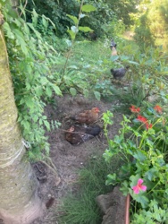 41e1dc01-6645-4dc5-8b7e-87b8a5a51ead