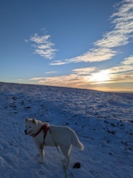 a630e6f7-f5da-4b0b-9294-5e44e90aea65