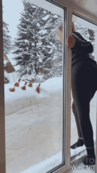 4863dd32-52cf-48bc-b692-70c5689039de