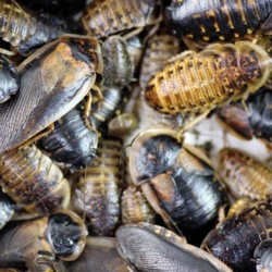 28150335-7ca6-496c-abf0-412d786db481