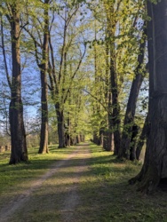 3bf58311-d14c-43de-84fc-638ff8c01feb