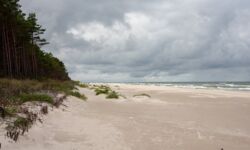 Pierwsza polska elektrownia atomowa powstanie nad morzem?