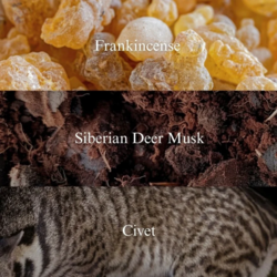 f1dd38d4-9cbc-45b8-9e8b-a68cc12dca33