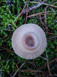 2b0133f0-ace4-431b-b2c3-165aa108991c