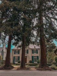 3502597e-ffe6-4ce7-8d87-39b31b4336eb